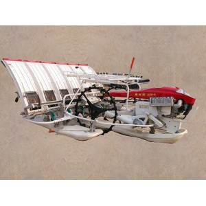 10 Row Rice Transplanter (2z-10238bg)