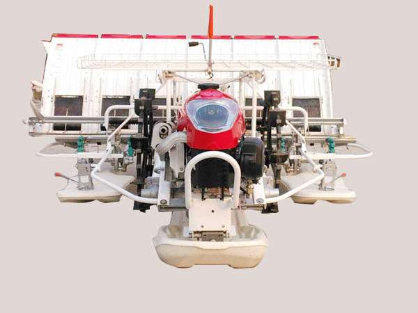 10 Row Rice Transplanter (2z-10238bg)