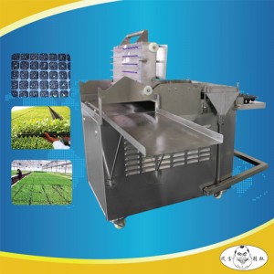 All Kinds of Vegetable Seeder and Small Seeder Machine
