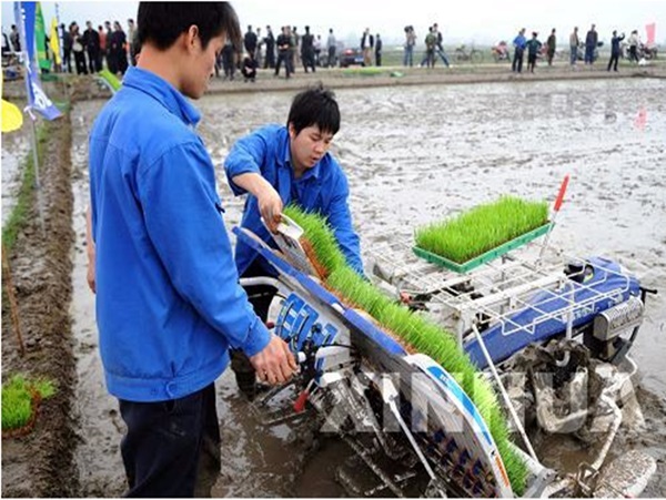 Agricultural Rice Planting Machine (2ZT-6300B)