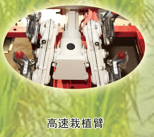 High Speed Riding Type Four-Wheel Drive Rice Transplanter (2ZSQ-6300)
