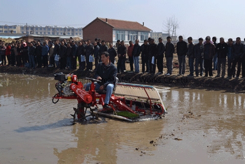 Rice Transplanter (6300)