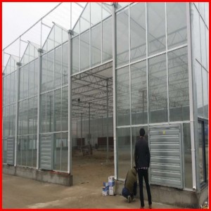 China Supplier Venlo Agriculture Glass Greenhouse for Sale