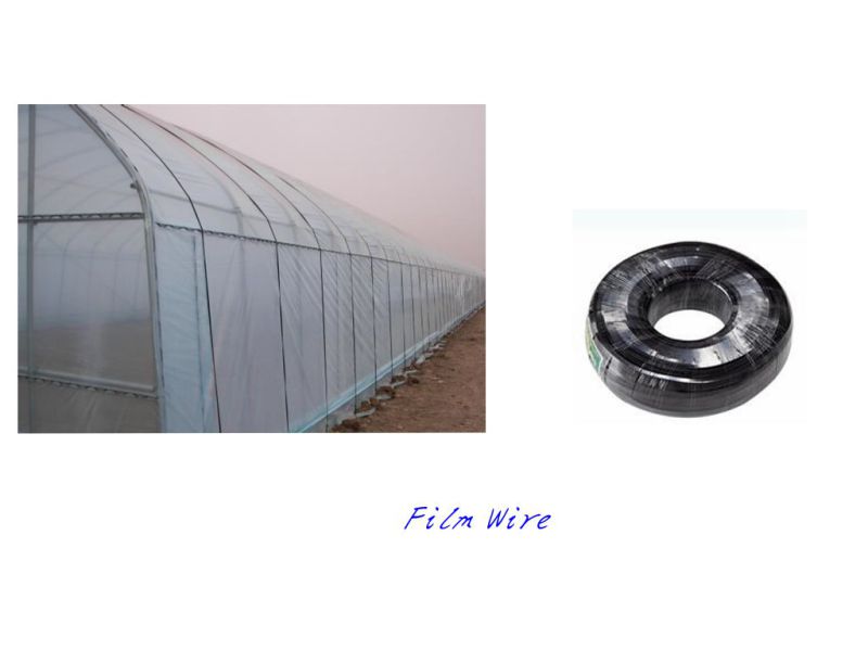 Single-Span Tunnel Greenhouse for Vegetable Grower with Steel Structure