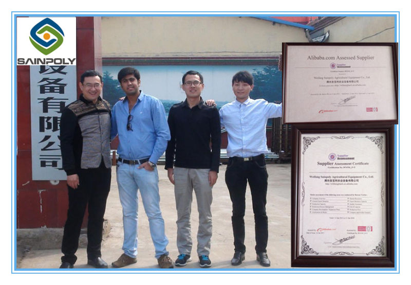 China Supplier Hot Sale Production Tunnel Greenhouse