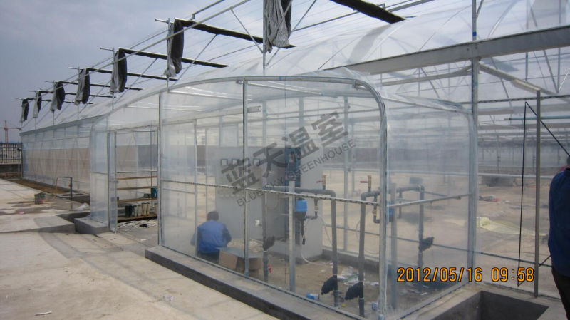 Plastic Film Greenhouse for Seeding