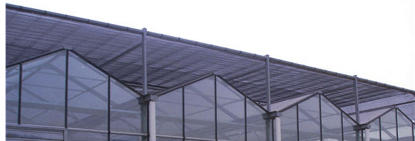 Multi-Span Venlo Type Glass Greenhouse