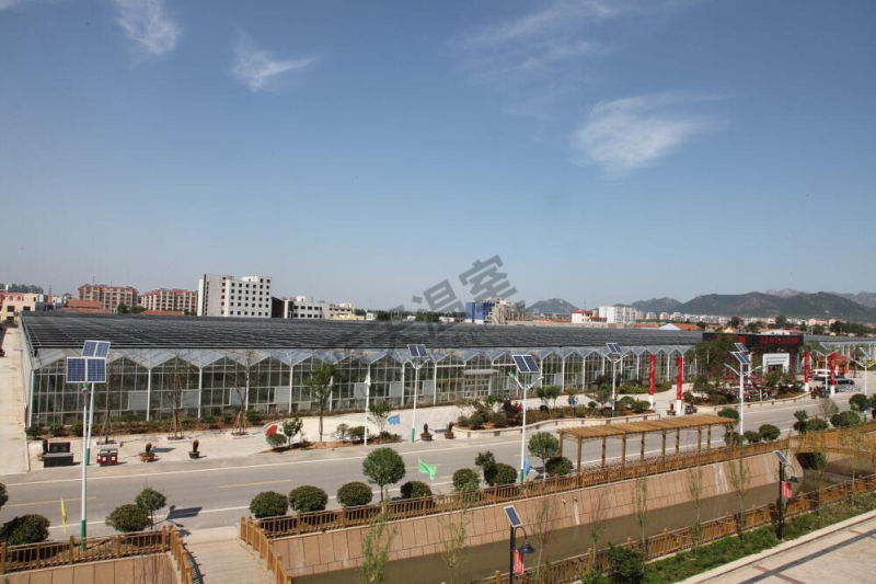 Greet Eeconomic Benefit PC Sheet Greenhouse for Planting