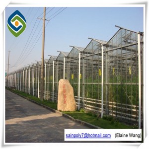Multi-Span Agricultural Glass Greenhouse for Tomato