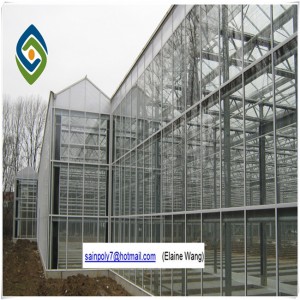 Multi-Span Agricultural PC Sheet Greenhouse for Cucumber