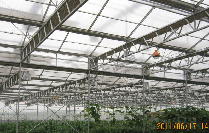 Beautiful Long Life-Span Venlo Structure Glass Greenhouse