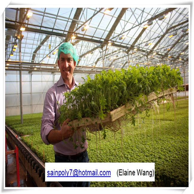 Commercial PC Sheet Hydroponic Greenhouse for Cucumber