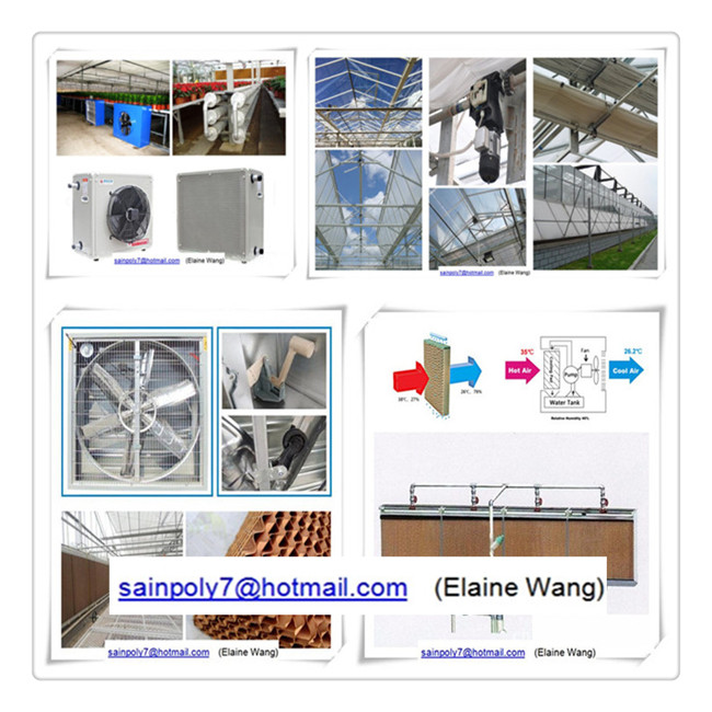 Venlo PC Sheet Greenhouse with China Factory Price for Tomato