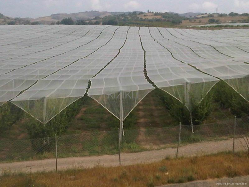 White Anti Hail Net for Agriculture