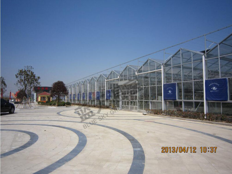 Greet Eeconomic Benefit PC Sheet Greenhouse for Planting