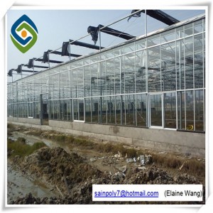 Commercial Glass Hydroponic Greenhouse for Pepper