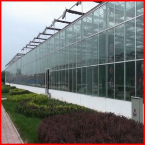 Agriculture Multi-Span Commerical Glass Greenhouse for Garden