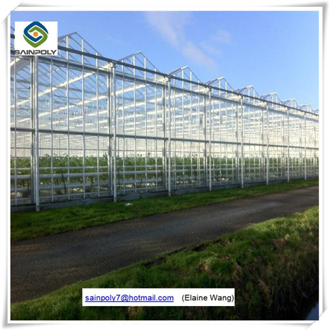 Venlo PC Sheet Hydroponic System Greenhouse for Tomato