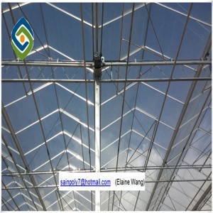 Large Size Commercial Hydroponics PC Sheet Greenhouse for Tomato