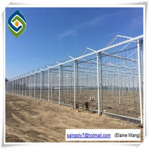 China Factory High Quality Glass Green House for Tomato