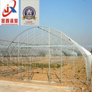 Single-Span Tunnel Greenhouse for Vegetable Grower with Steel Structure