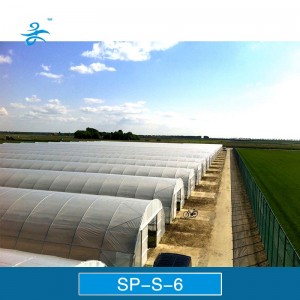 Sp-S-6 Tunnel Plastic Film Greenhouse