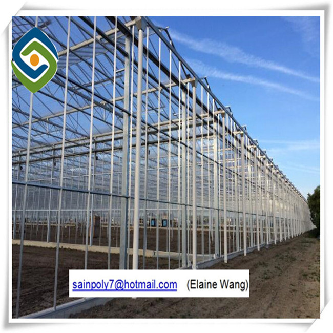 Multi-Span Agricultural PC Sheet Greenhouse for Cucumber