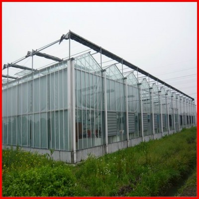 Hot Sale Multi-Span Commerical PC Sheet Garden Greenhouse for Sale