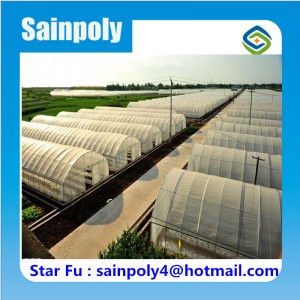China Supplier Hot Sale Production Tunnel Greenhouse