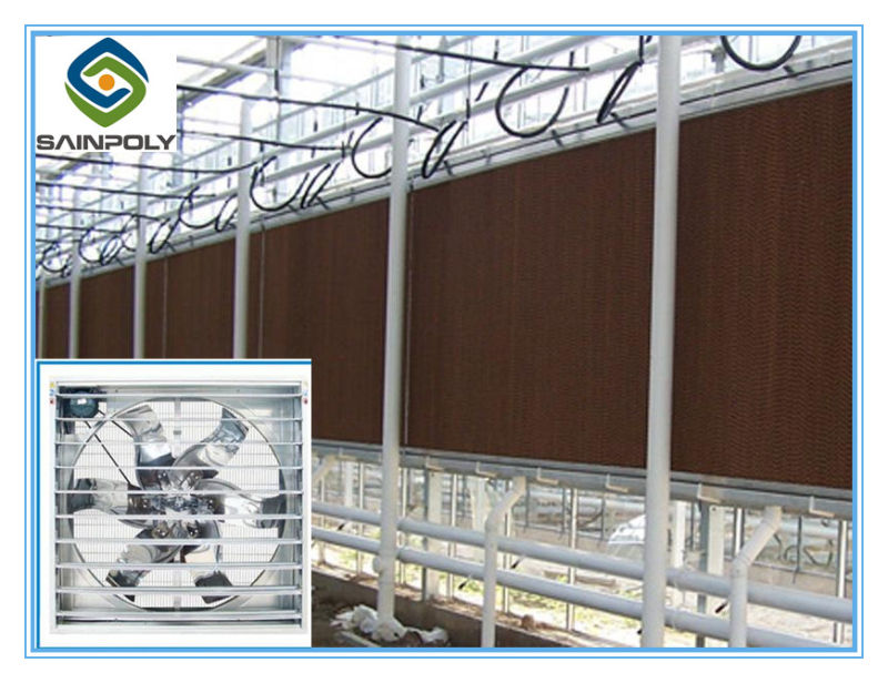 China PC-Sheet Greenhouse Best Manufacturer