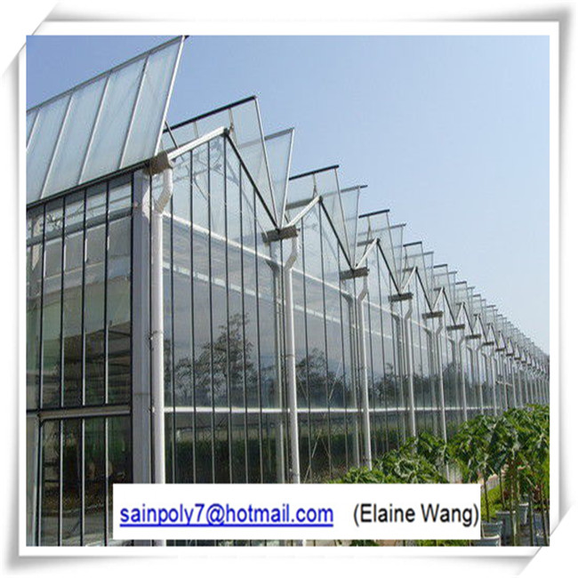 Factory Price PC Sheet Greenhouse for Growing Cucumber