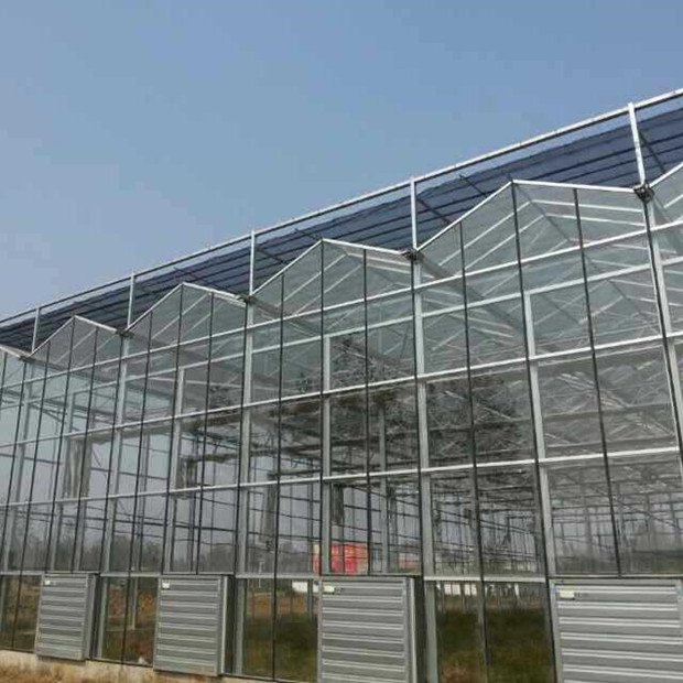 Film/Glass/PC Growing Greenhouse for Hydroponics Nft Lettuce