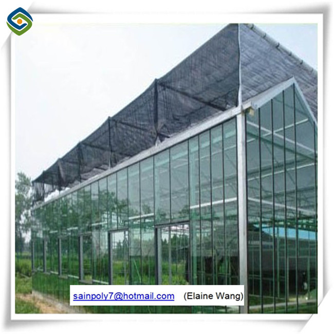 China Factory Supply Glass Greenhouse with Hydroponic System