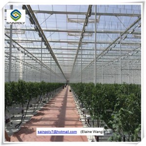 Commercial Hydroponic Systems PC Sheet Greenhouse