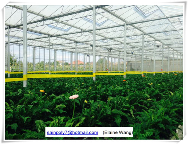 Factory Price PC Sheet Greenhouse for Growing Cucumber