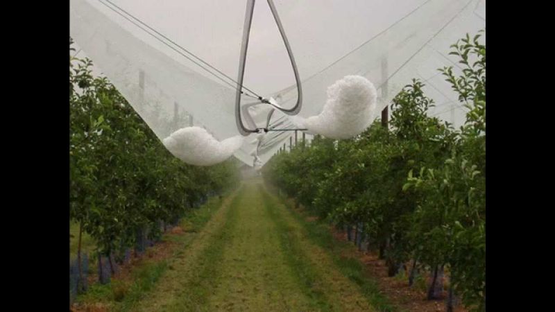 White Anti Hail Net for Agriculture