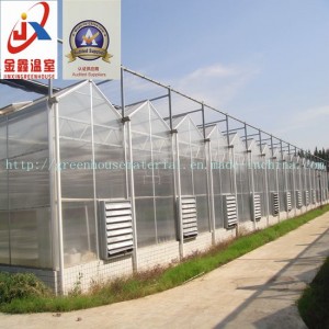 Venlo Style Polycarbonate Sheet Greenhouse