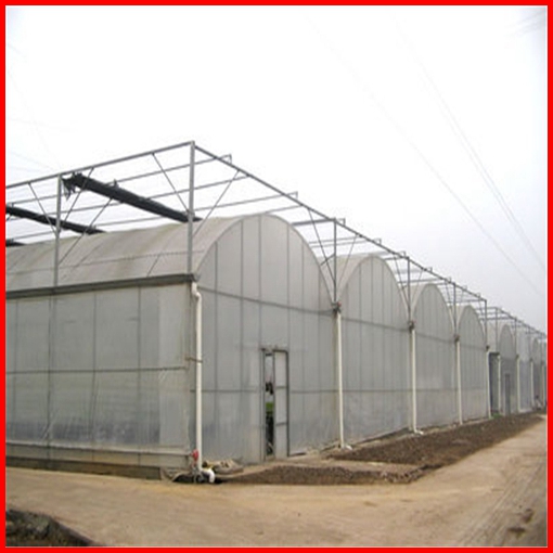 Agriculture Farm Multi-Span Plastic Film Greenhouse for Vegetables