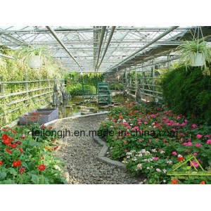 Eco-Sightseeing Greenhouse &amp; Hot Sale Sunhouse