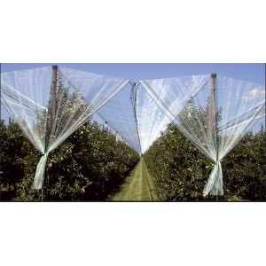 Polyethylene Hail Net for Protect Plant