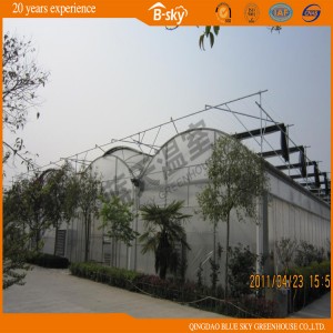 High Heat Insulation Performance Plastic Film Greenhouse