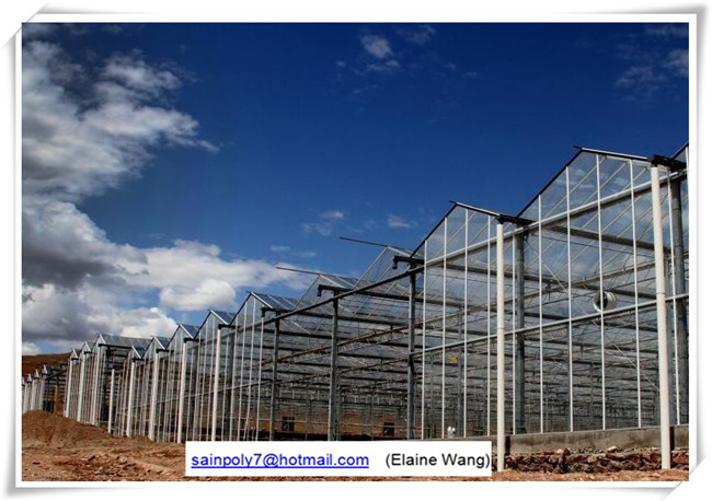 Venlo PC Sheet Greenhouse with China Factory Price for Tomato