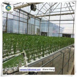 Commercial Hydroponic PC Sheet Greenhouse for Grape