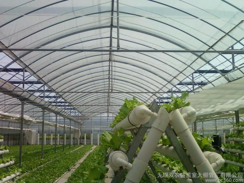 Multi-Span Gothic Film Greenhouse PE Greenhouse