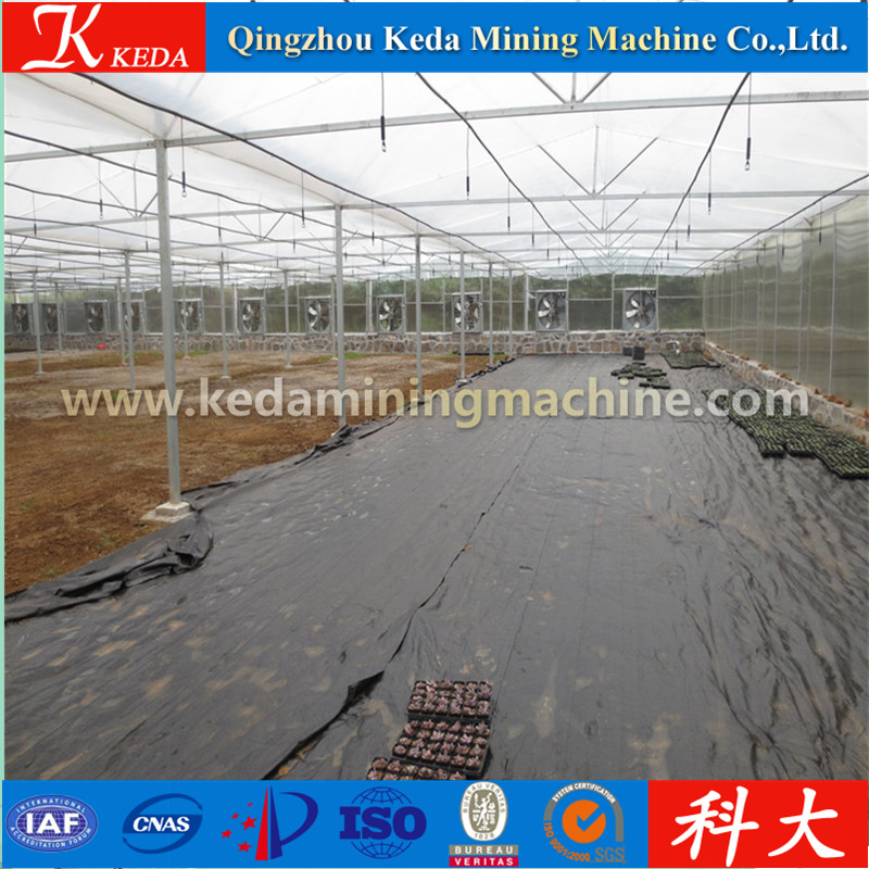 Plastic Film for Greenhouse, Easily Assembled Glass Garden Greenhouse