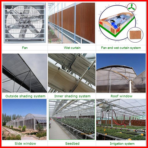 China Supplier Venlo Agriculture Glass Greenhouse for Sale