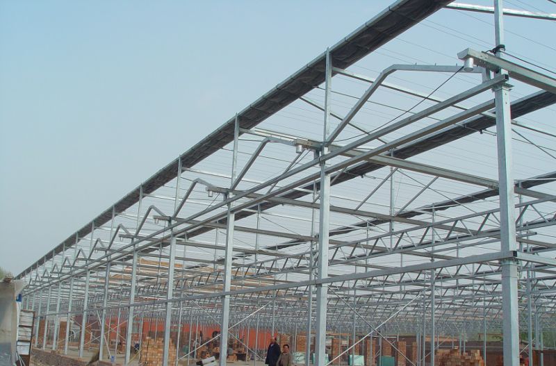 Tomato Planting Polycarbonate Green House