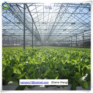 China Factory Supply Glass Greenhouse with Hydroponic System