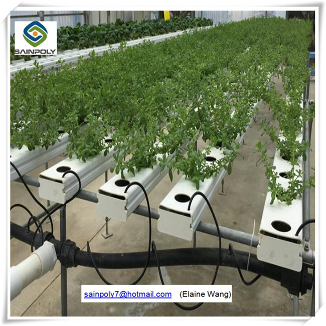 Commercial Hydroponic PC Sheet Greenhouse for Grape