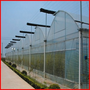Agriculture Farm Multi-Span Plastic Film Greenhouse for Vegetables